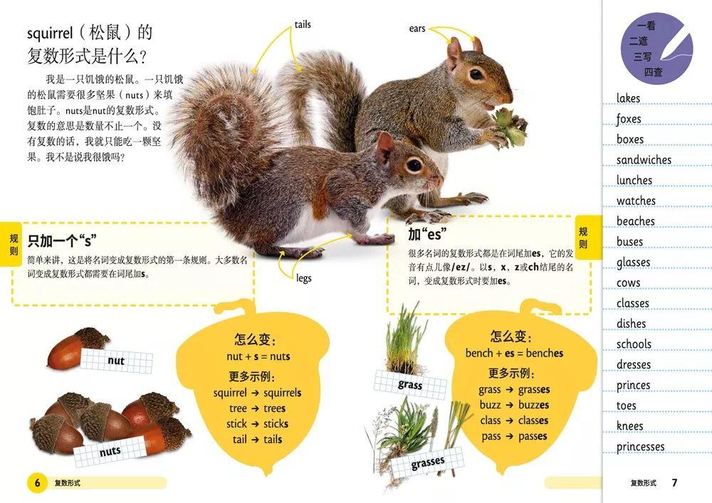 龙蛇鸡兔猴鼠羊,农家都有的动物是什么生肖的警惕虚假宣传-全面释义、精准解答解释落实